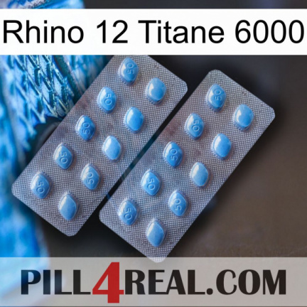 Rhino 12 Titanium 6000 viagra4